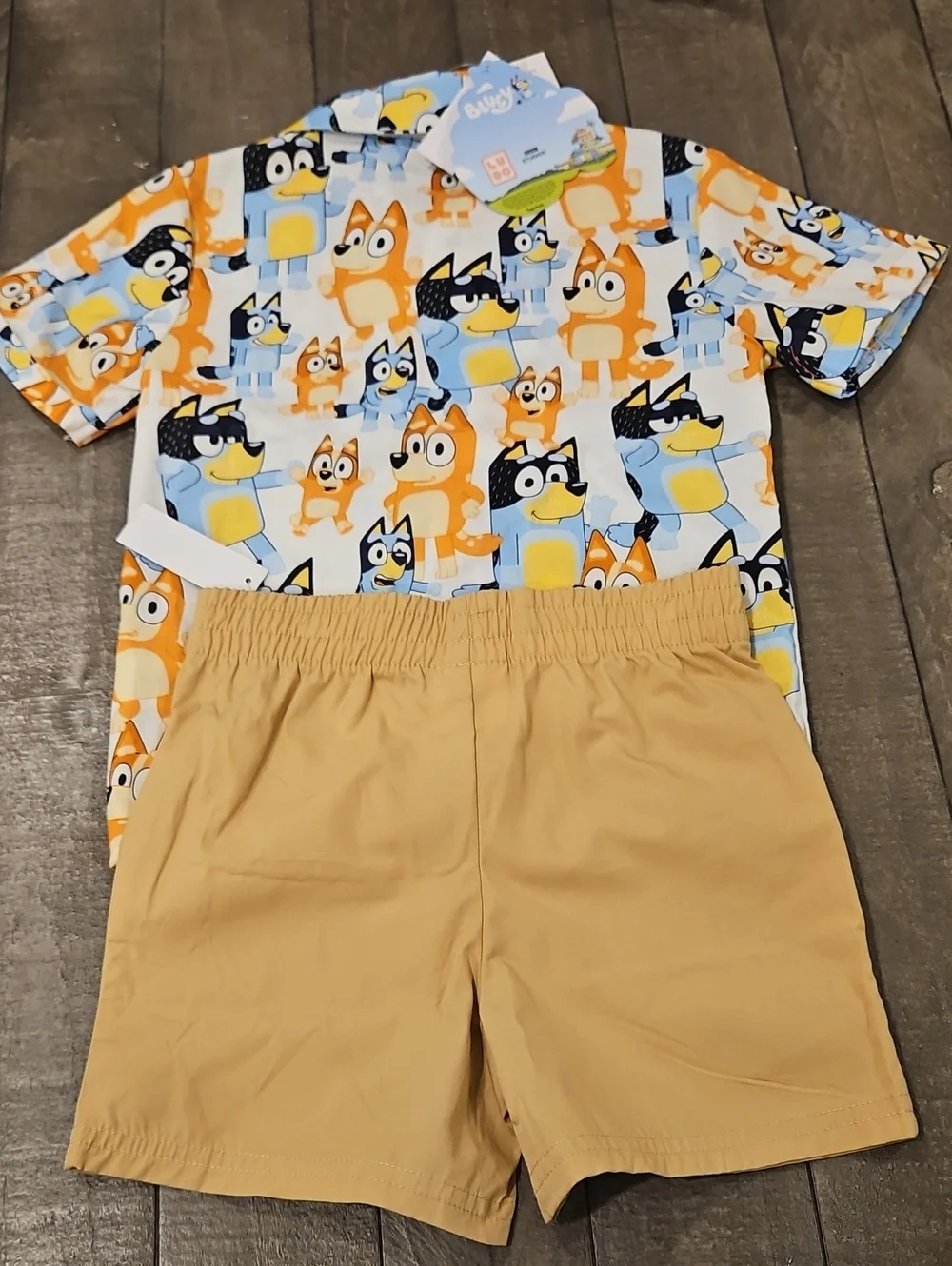 Bluey 2 PC Short Set NWT Size 4T